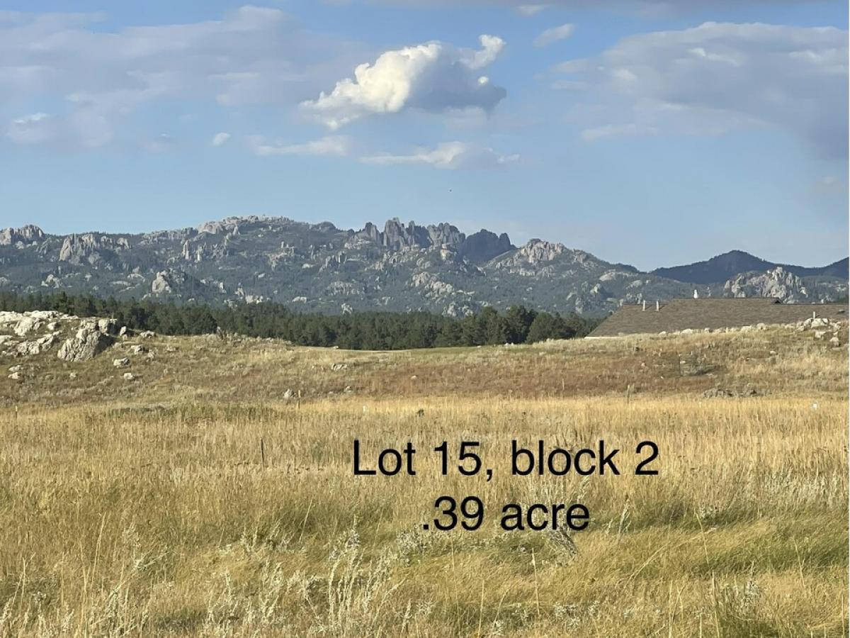 Picture of Residential Land For Sale in Custer, South Dakota, United States