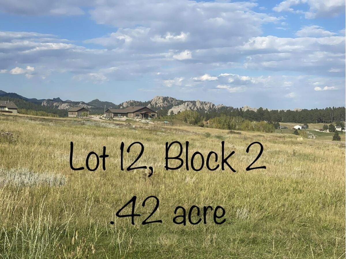 Picture of Residential Land For Sale in Custer, South Dakota, United States