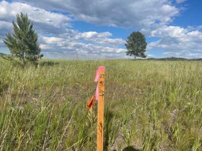 Residential Land For Sale in Custer, South Dakota