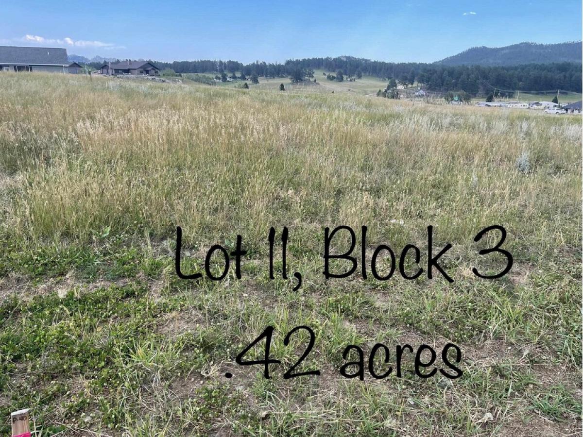 Picture of Residential Land For Sale in Custer, South Dakota, United States