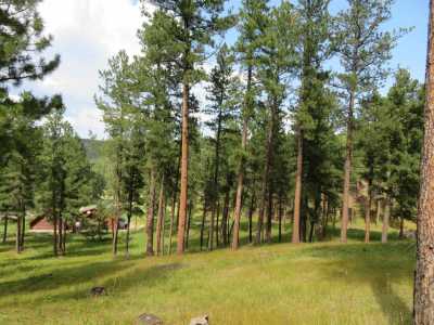 Residential Land For Sale in Hill City, South Dakota