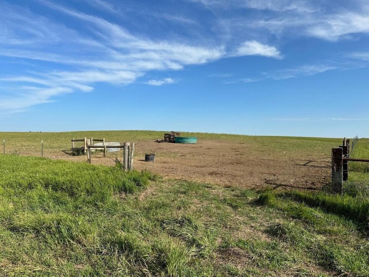 Picture of Residential Land For Sale in Whitewood, South Dakota, United States