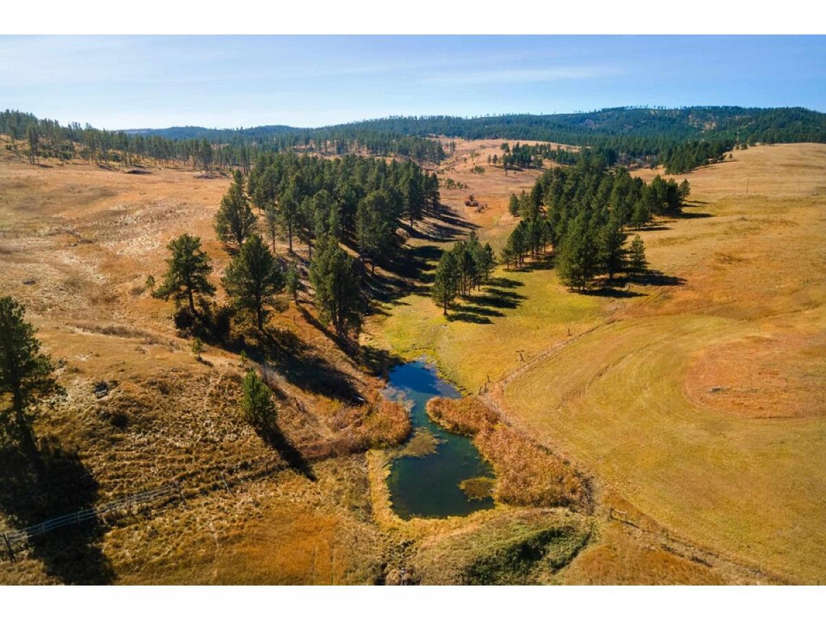 Picture of Residential Land For Sale in Hill City, South Dakota, United States