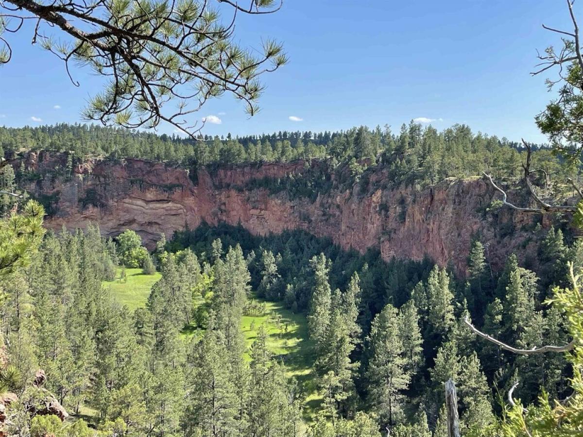 Picture of Residential Land For Sale in Custer, South Dakota, United States