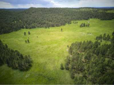 Residential Land For Sale in Custer, South Dakota