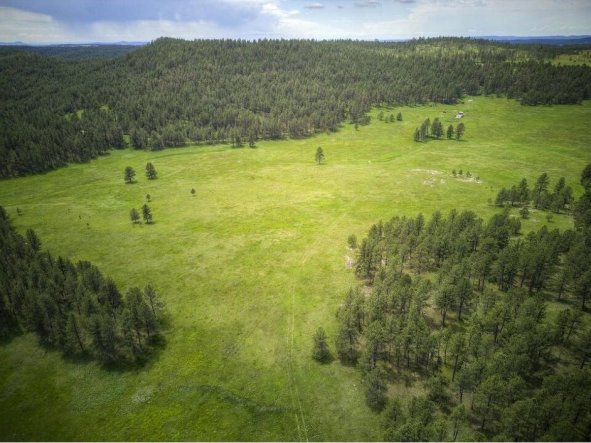 Picture of Residential Land For Sale in Custer, South Dakota, United States