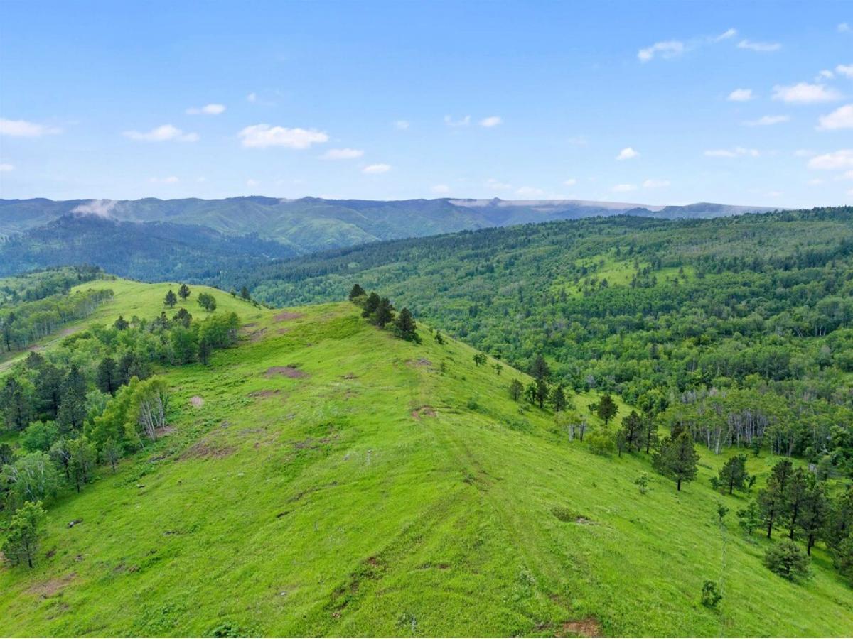 Picture of Residential Land For Sale in Deadwood, South Dakota, United States