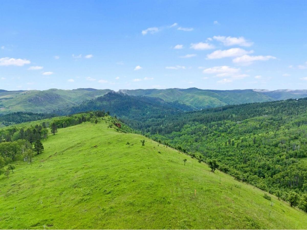 Picture of Residential Land For Sale in Deadwood, South Dakota, United States