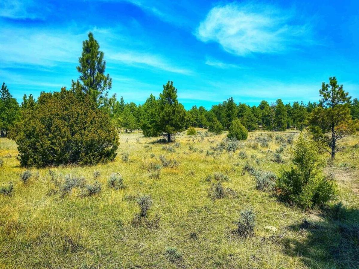 Picture of Residential Land For Sale in Upton, Wyoming, United States