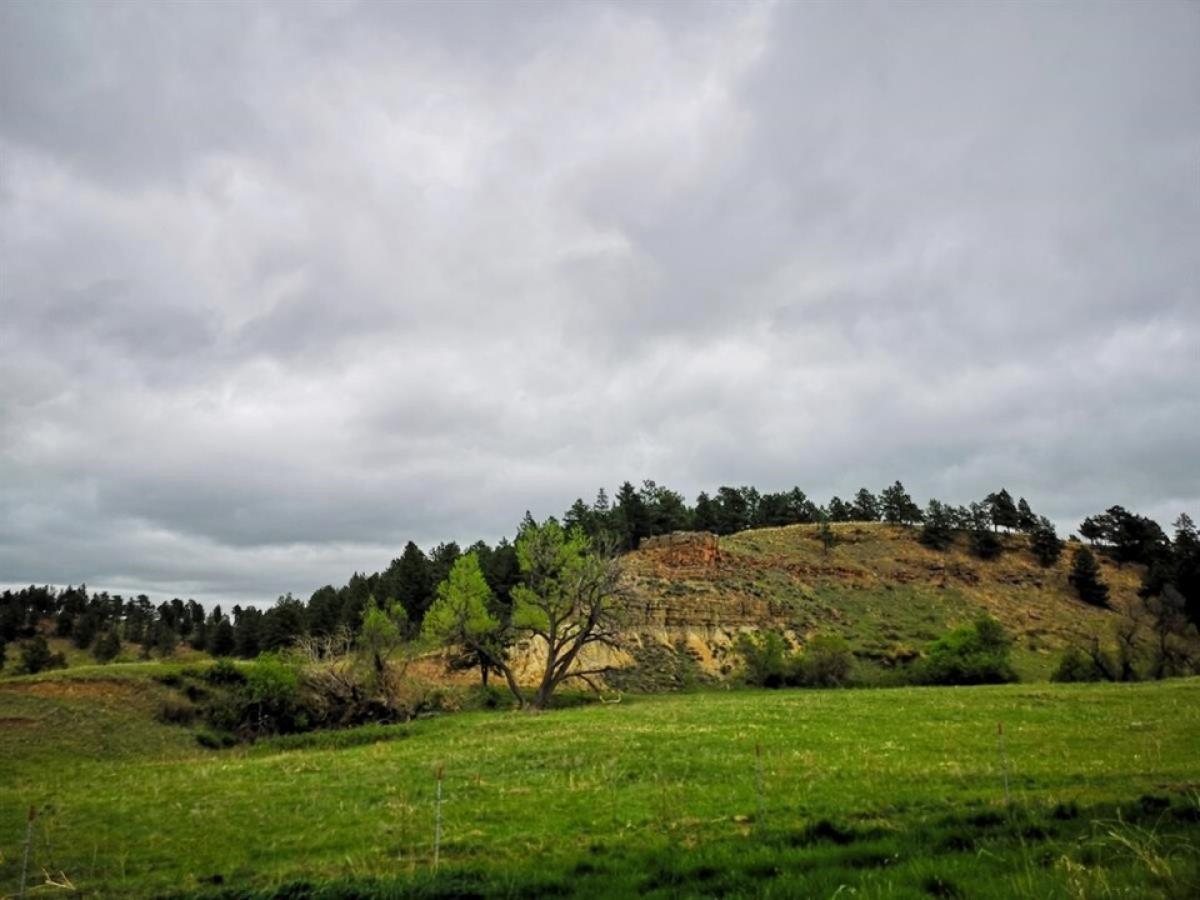 Picture of Residential Land For Sale in Belle Fourche, South Dakota, United States