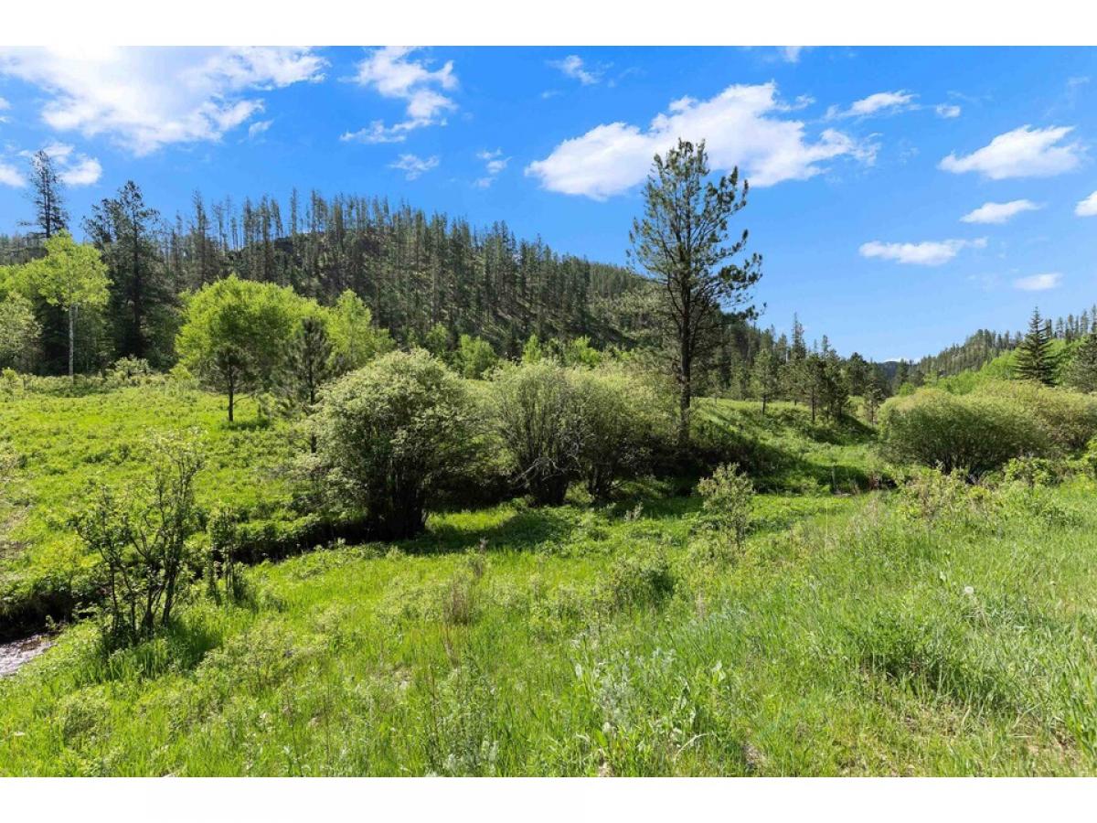 Picture of Residential Land For Sale in Hill City, South Dakota, United States