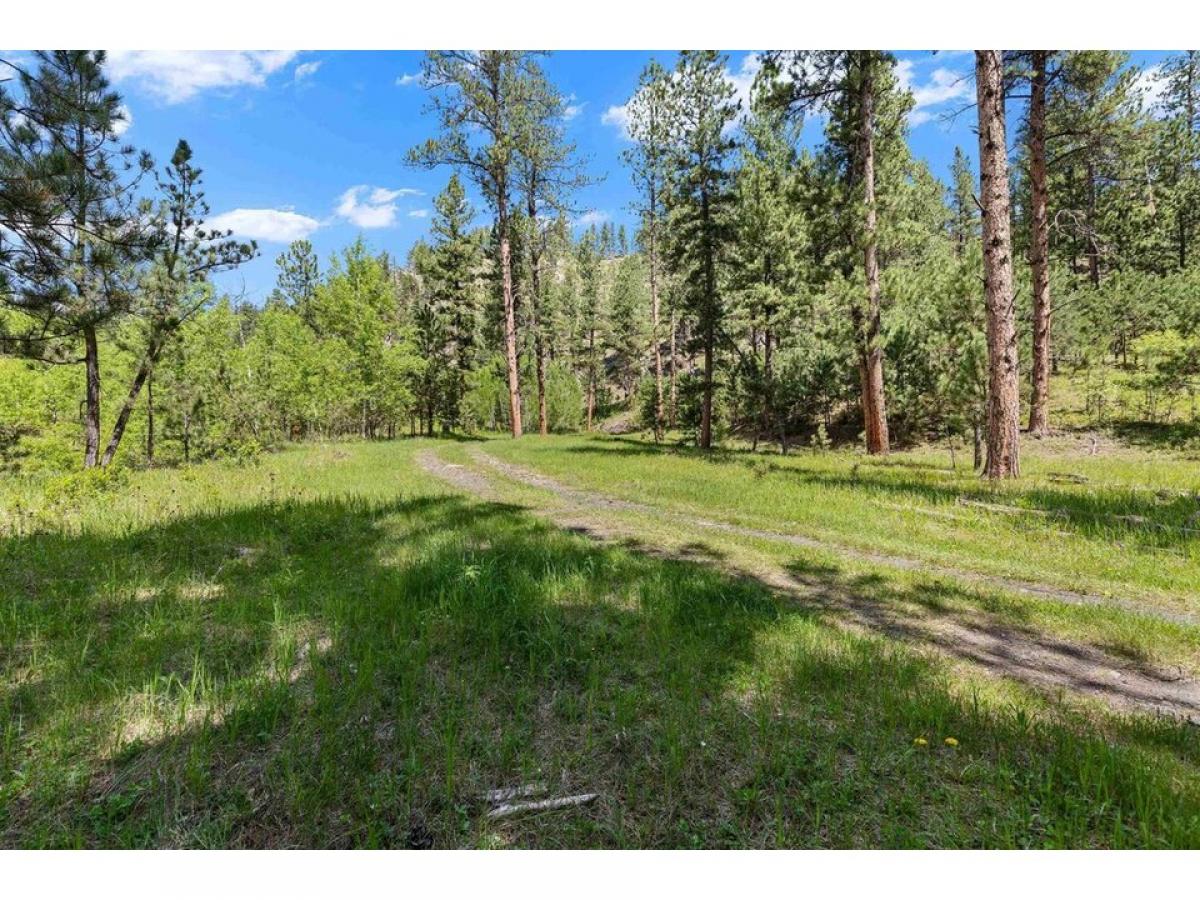 Picture of Residential Land For Sale in Hill City, South Dakota, United States