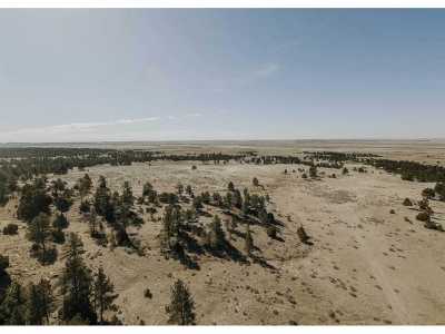 Farm For Sale in Edgemont, South Dakota