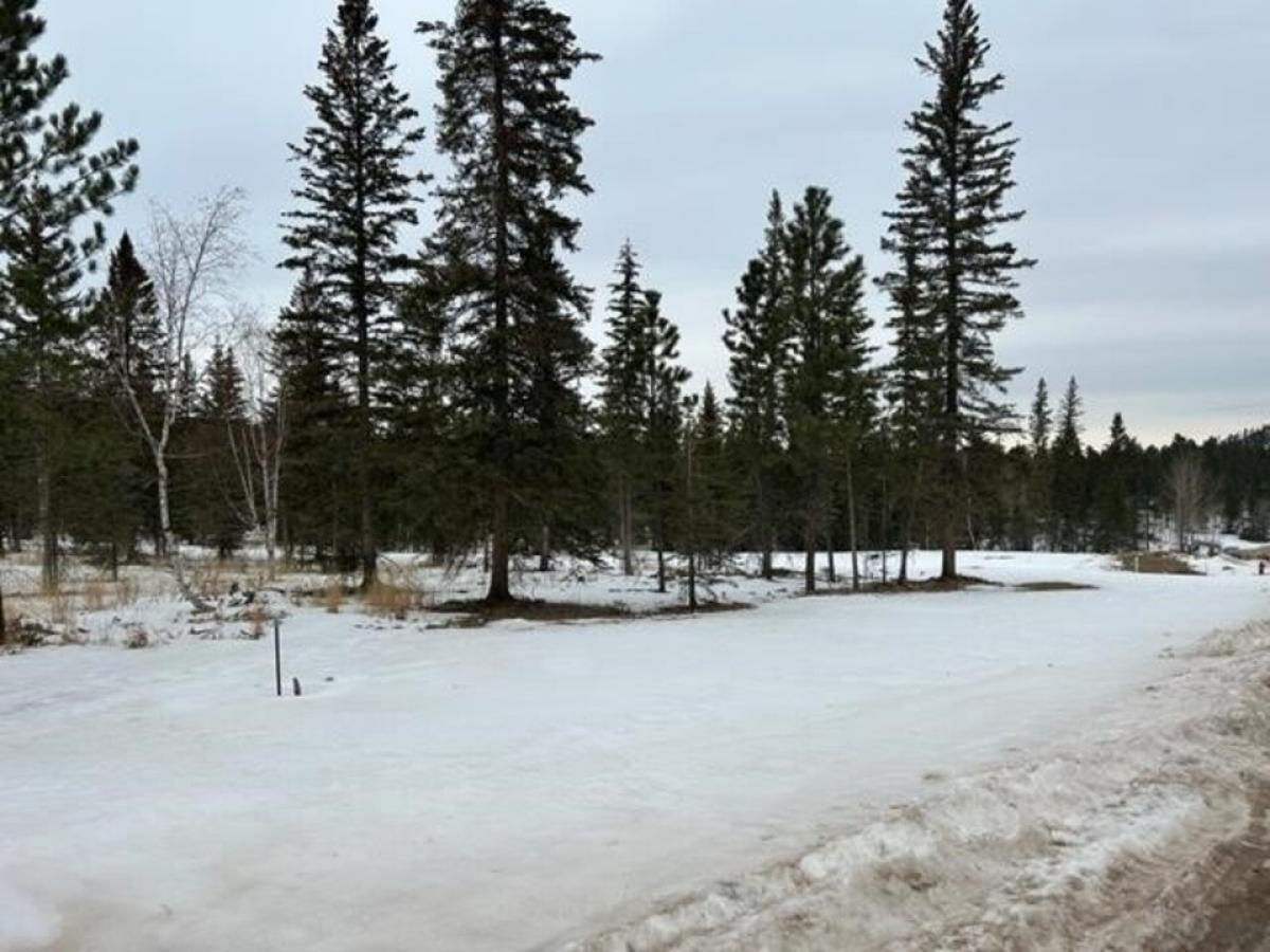 Picture of Residential Land For Sale in Lead, South Dakota, United States