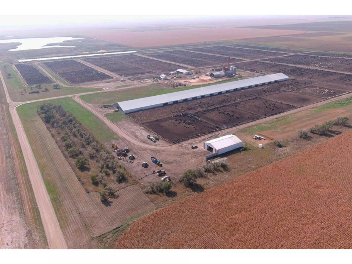 Picture of Farm For Sale in Onida, South Dakota, United States