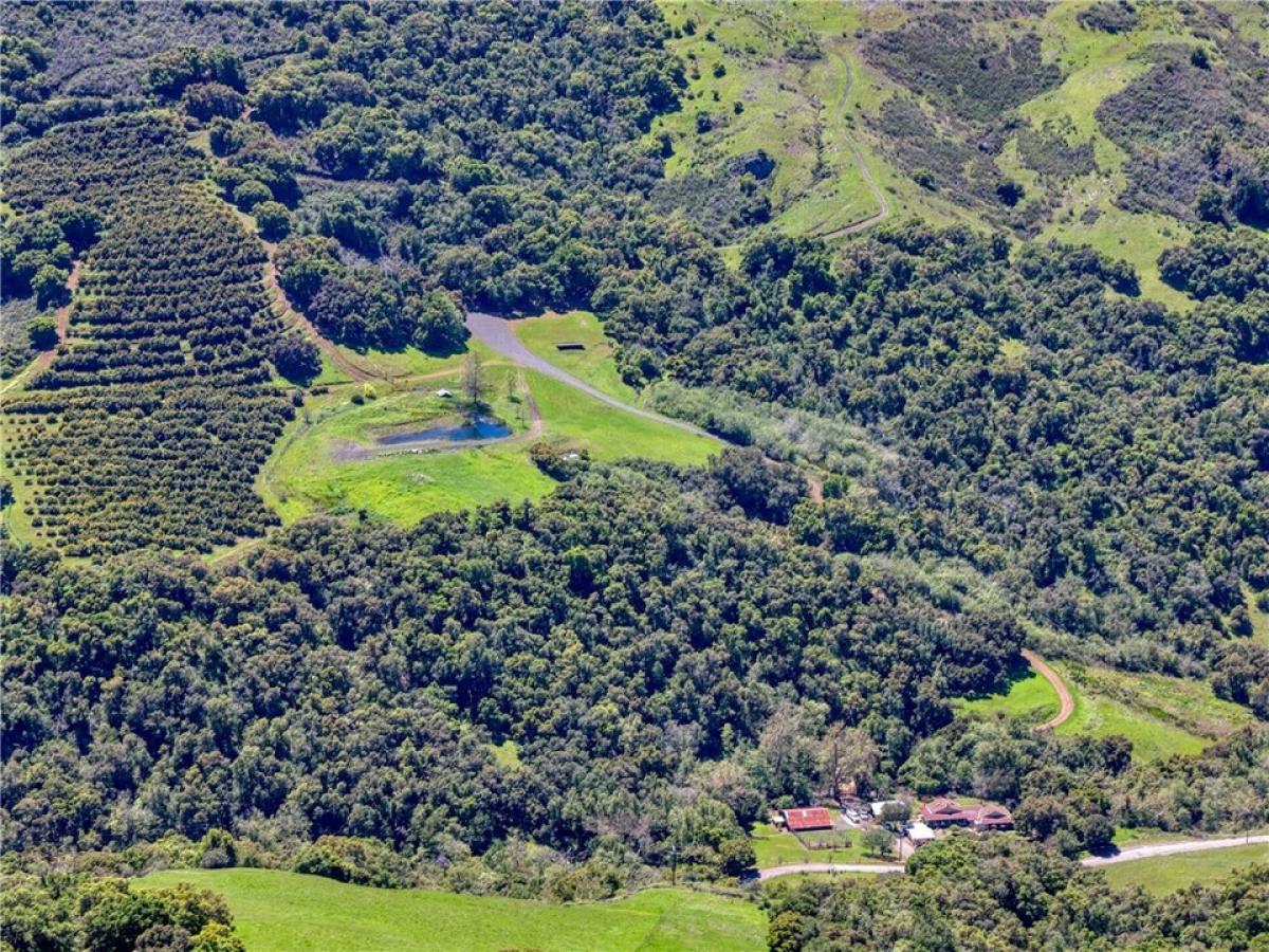 Picture of Home For Sale in Cambria, California, United States