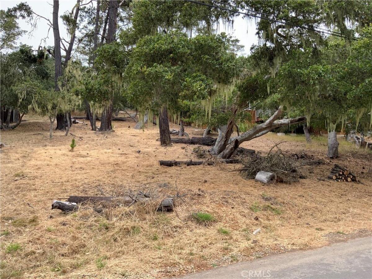 Picture of Residential Land For Sale in Cambria, California, United States