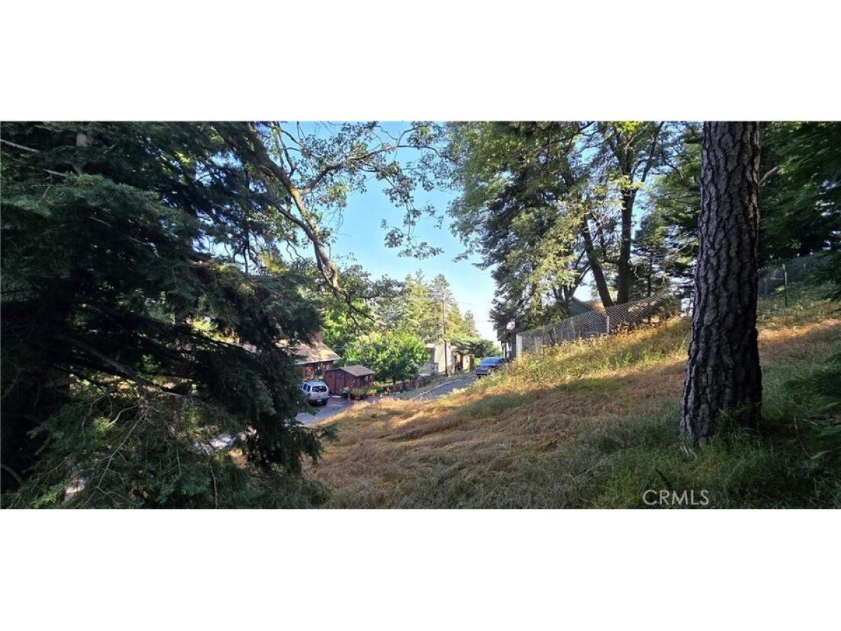 Picture of Residential Land For Sale in Crestline, California, United States