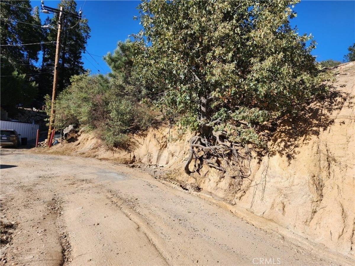 Picture of Residential Land For Sale in Cedar Glen, California, United States