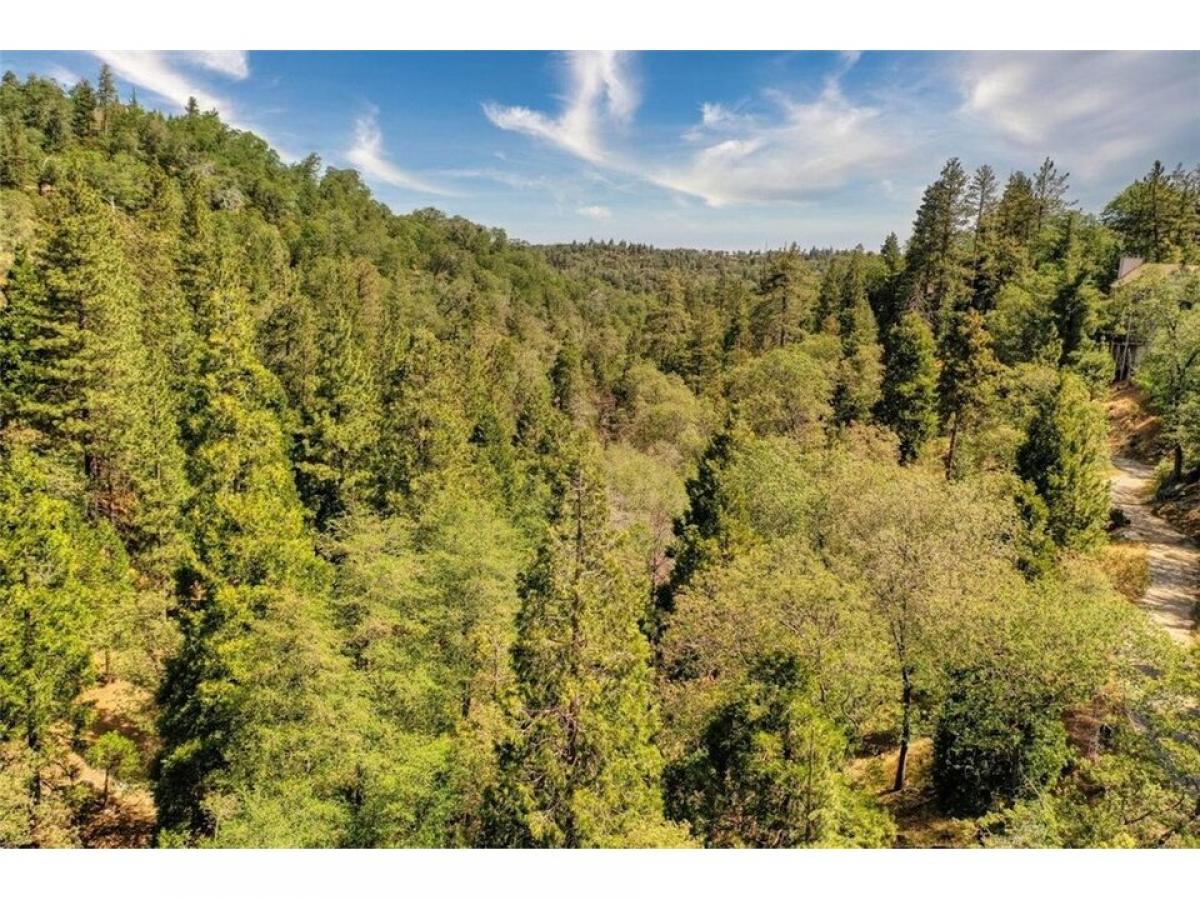 Picture of Residential Land For Sale in Lake Arrowhead, California, United States