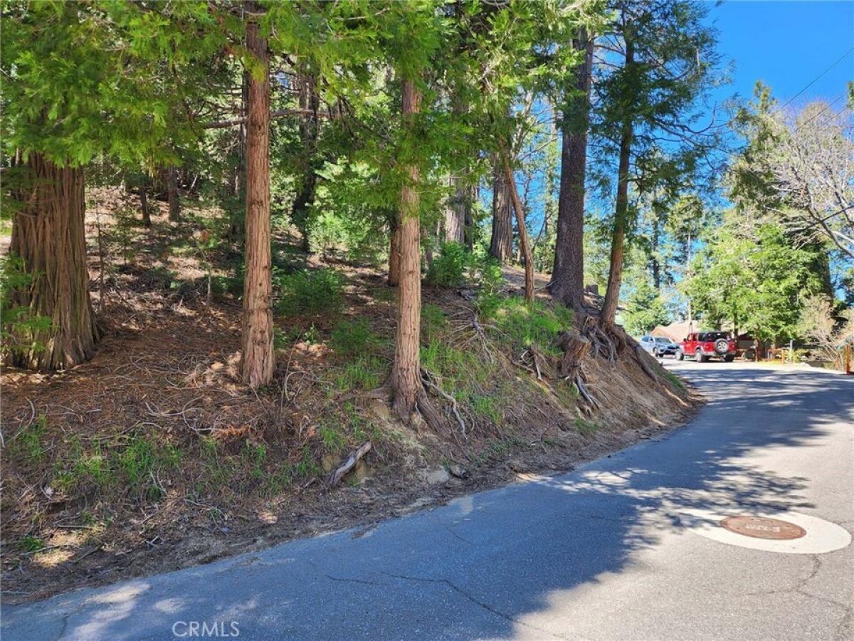 Picture of Residential Land For Sale in Crestline, California, United States