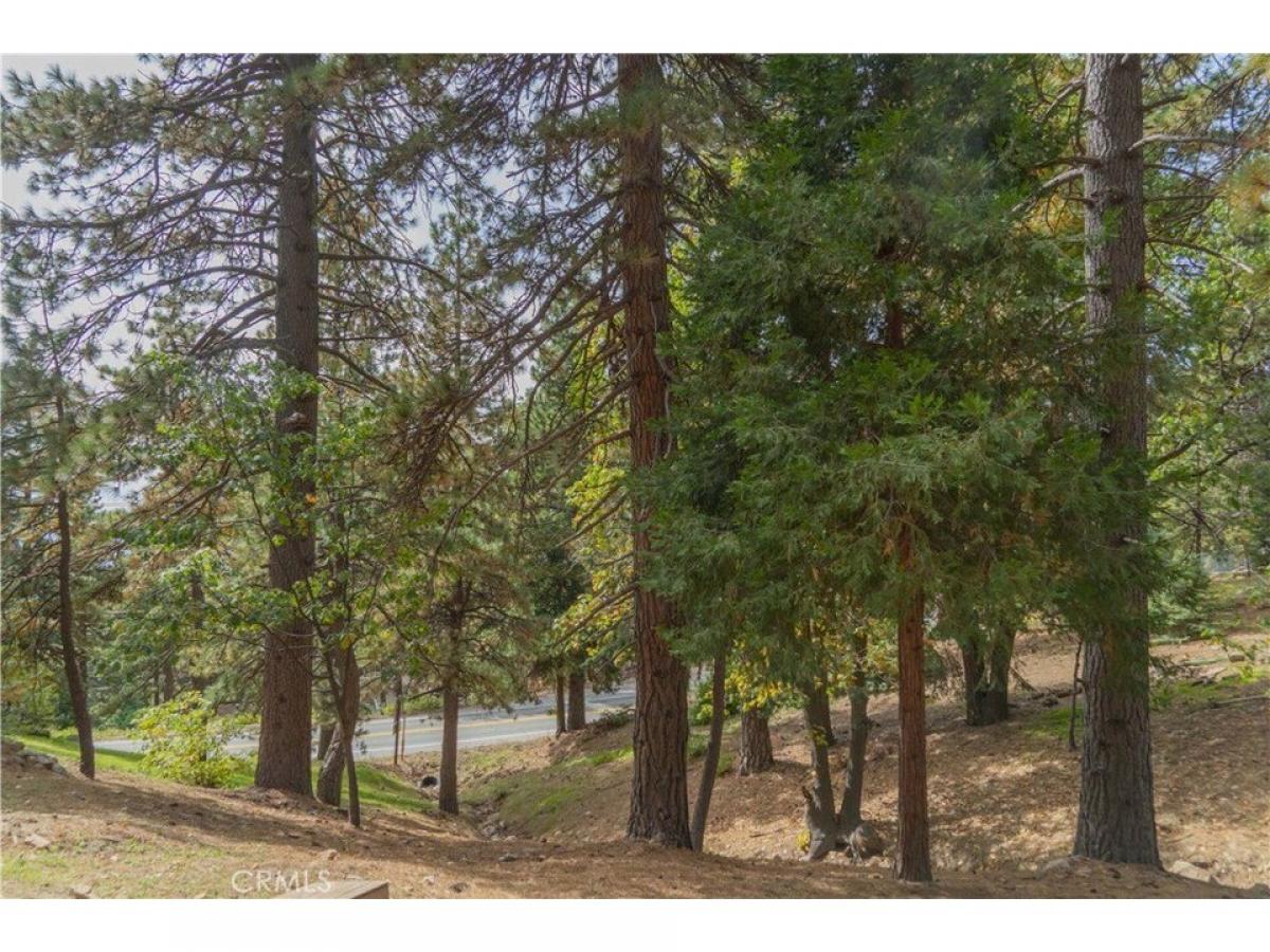 Picture of Residential Land For Sale in Running Springs, California, United States