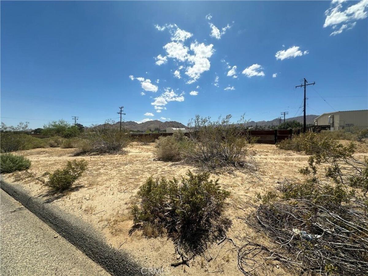 Picture of Residential Land For Sale in Joshua Tree, California, United States