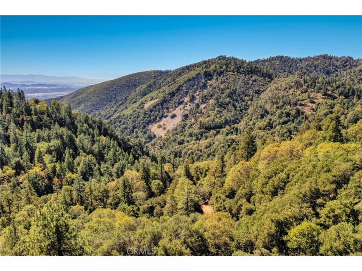 Picture of Residential Land For Sale in Cedarpines Park, California, United States