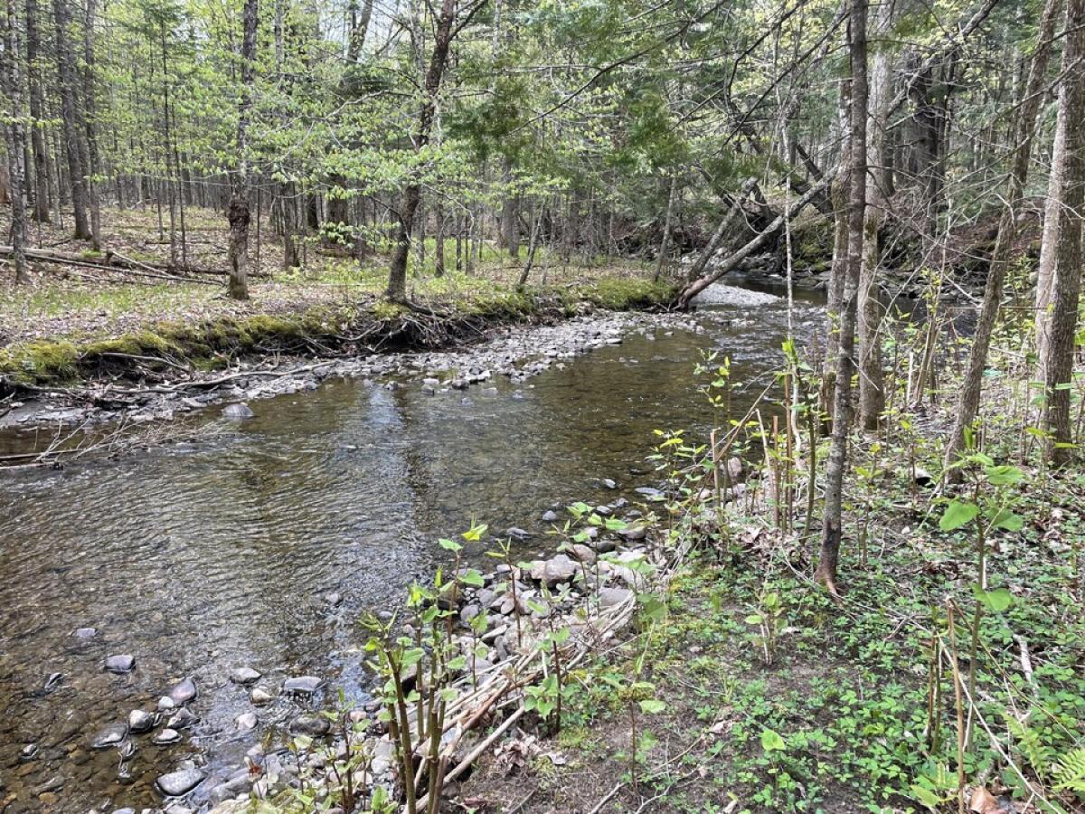 Picture of Residential Land For Sale in Saint Albans, Maine, United States