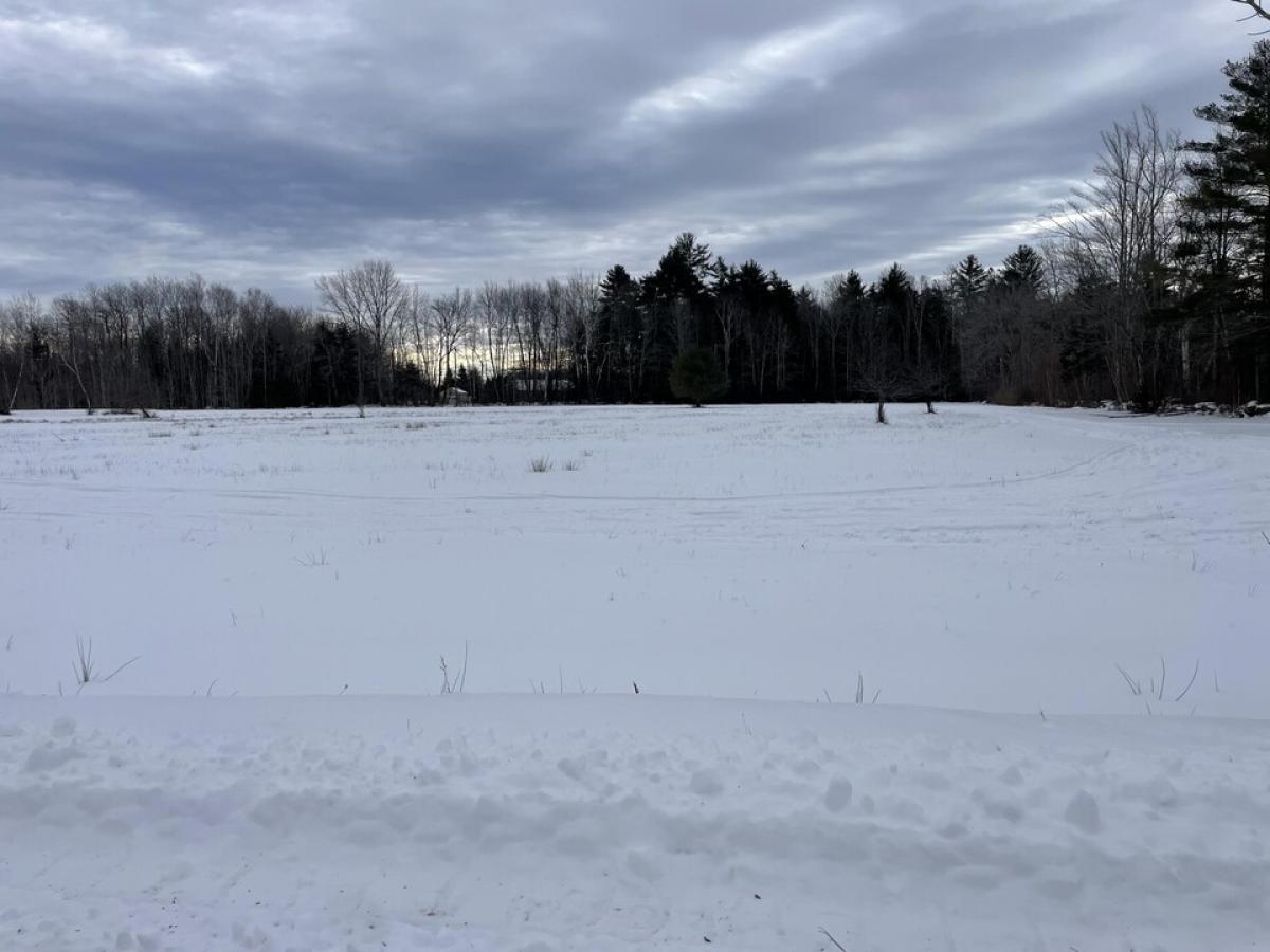 Picture of Residential Land For Sale in Newport, Maine, United States