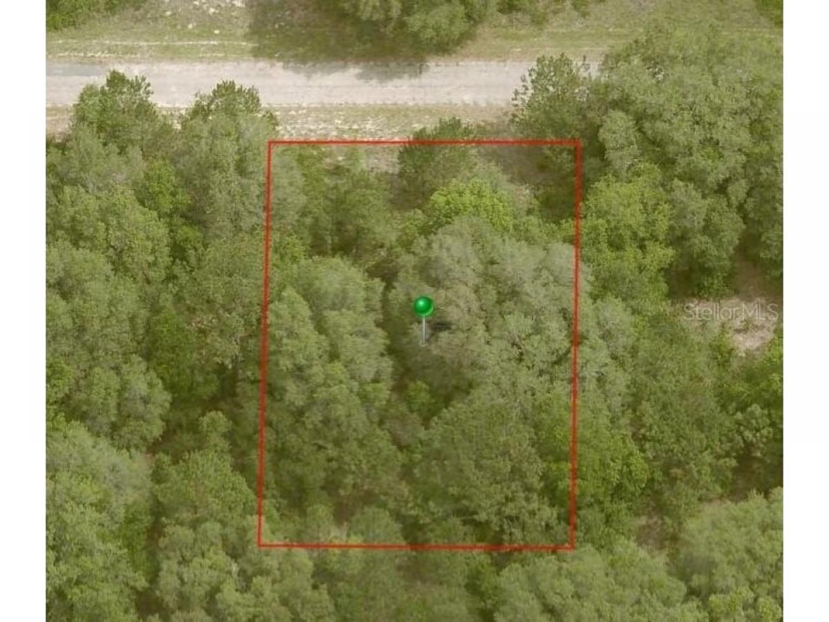 Picture of Residential Land For Sale in Citrus Springs, Florida, United States