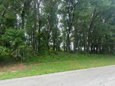 Residential Land For Sale in Ocala, Florida