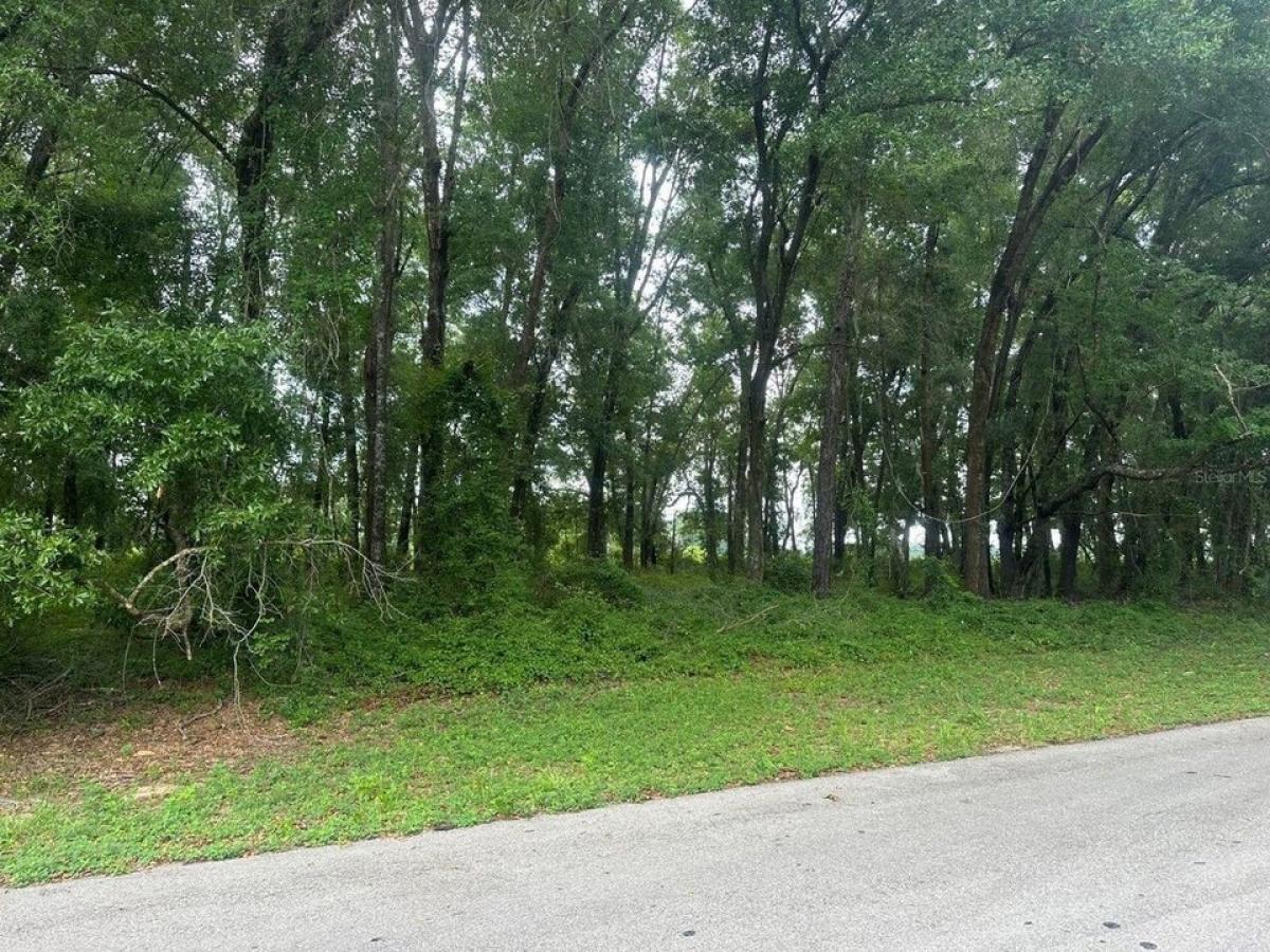 Picture of Residential Land For Sale in Ocala, Florida, United States