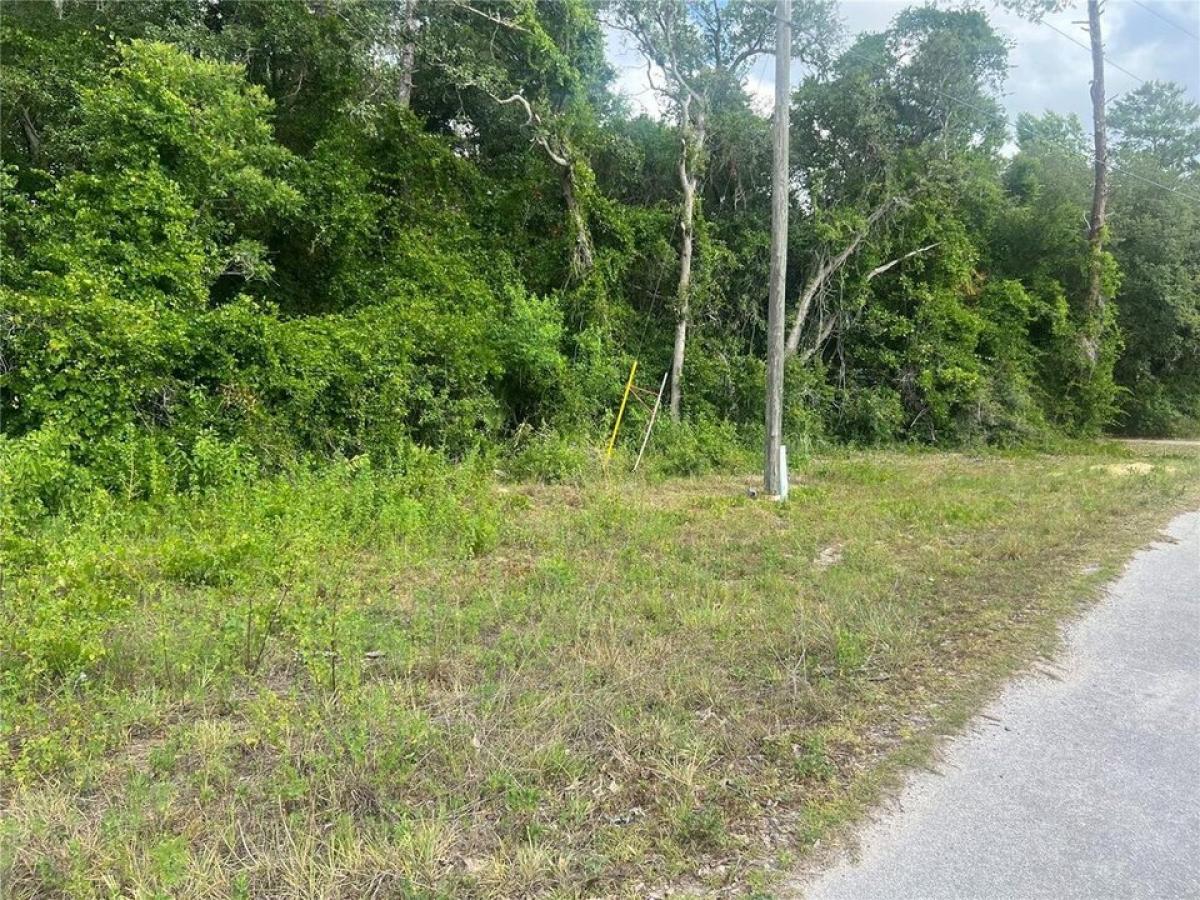 Picture of Residential Land For Sale in Silver Springs, Florida, United States