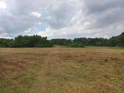 Residential Land For Sale in Citra, Florida