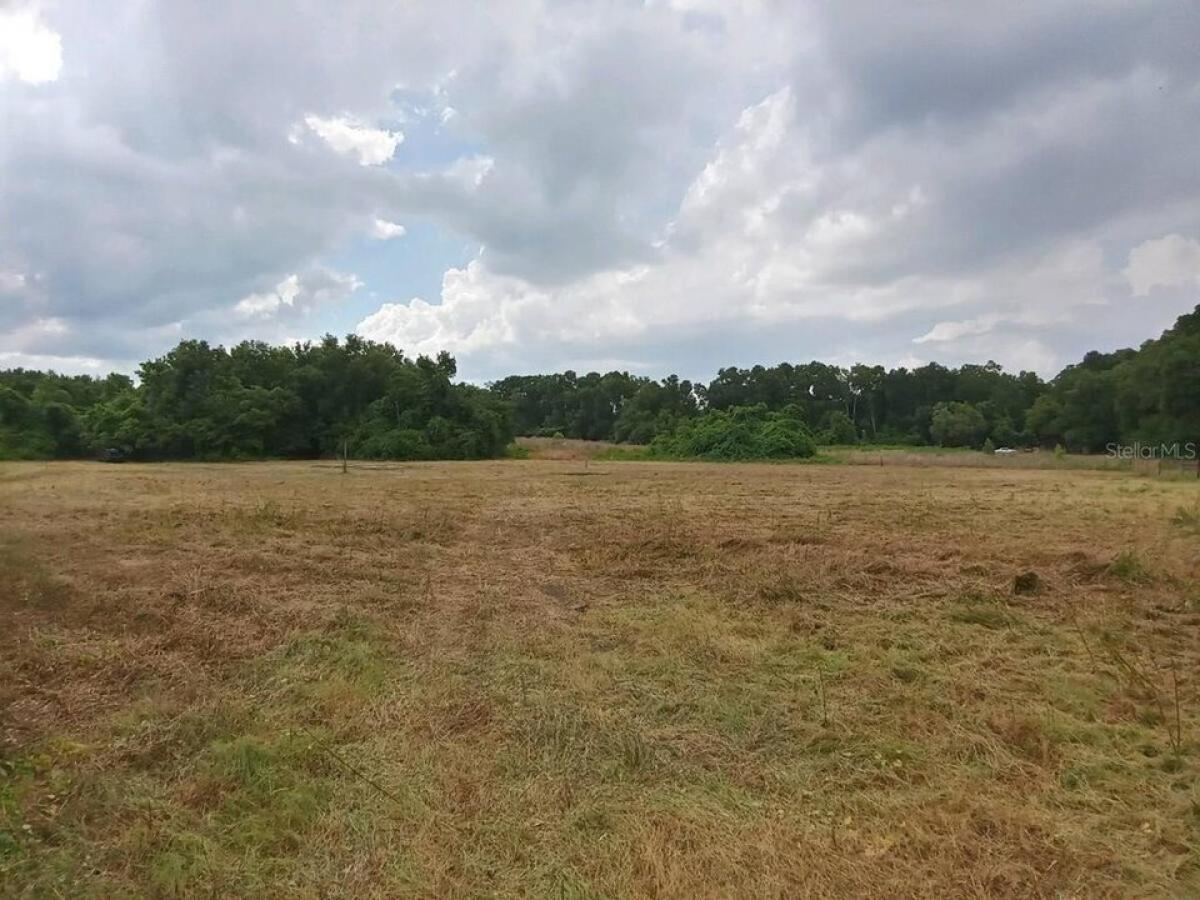 Picture of Residential Land For Sale in Citra, Florida, United States