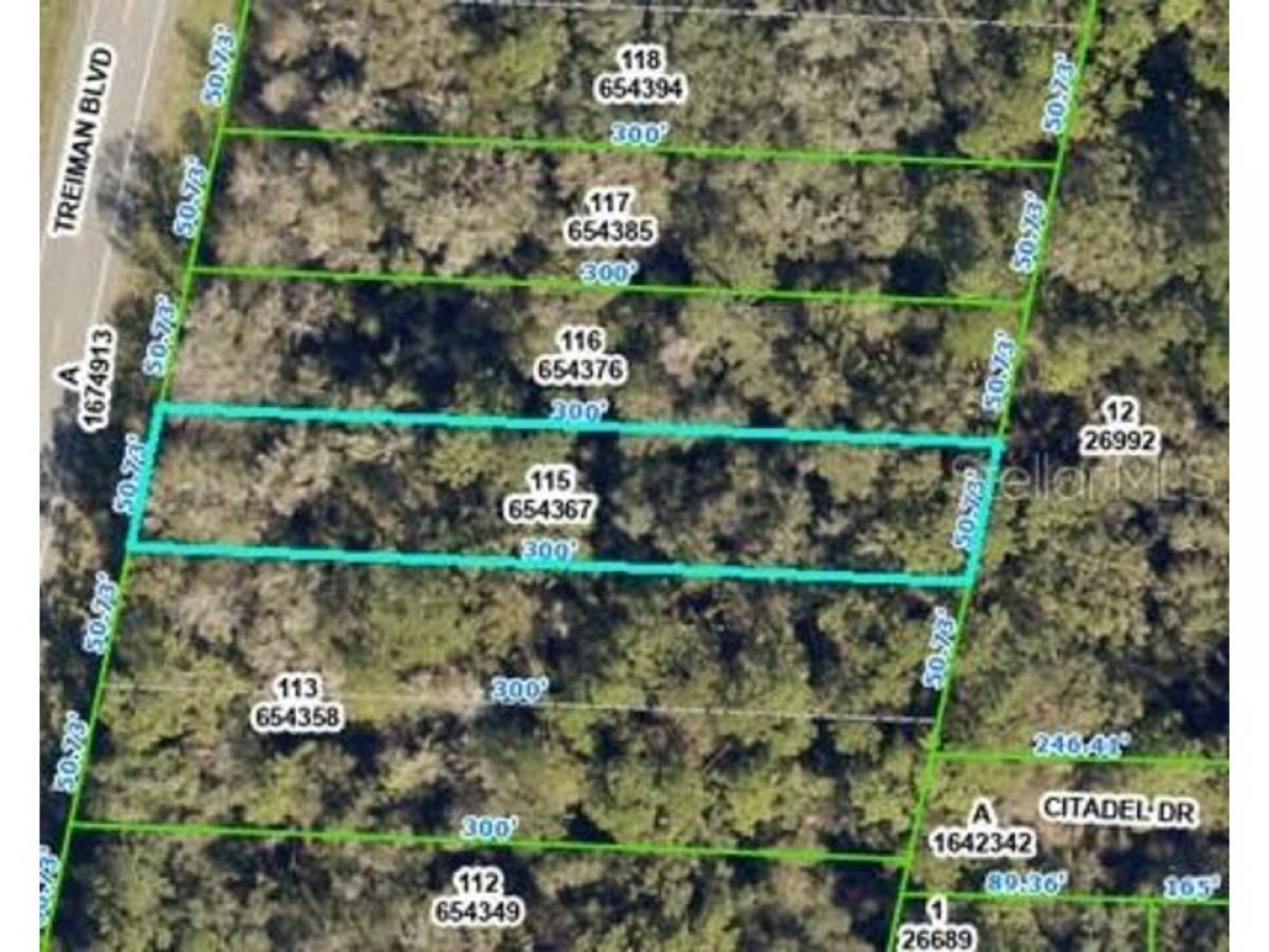 Picture of Residential Land For Sale in Webster, Florida, United States