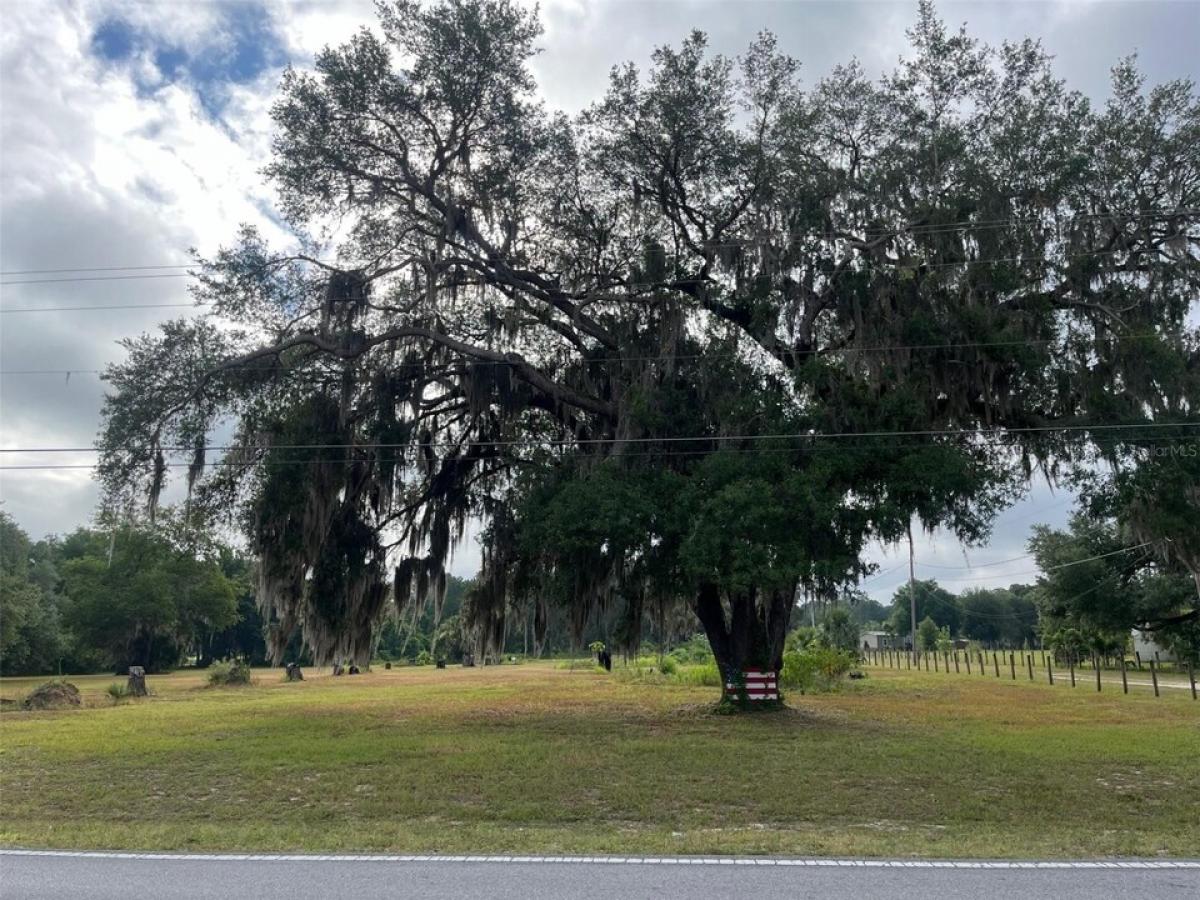 Picture of Residential Land For Sale in Ocklawaha, Florida, United States