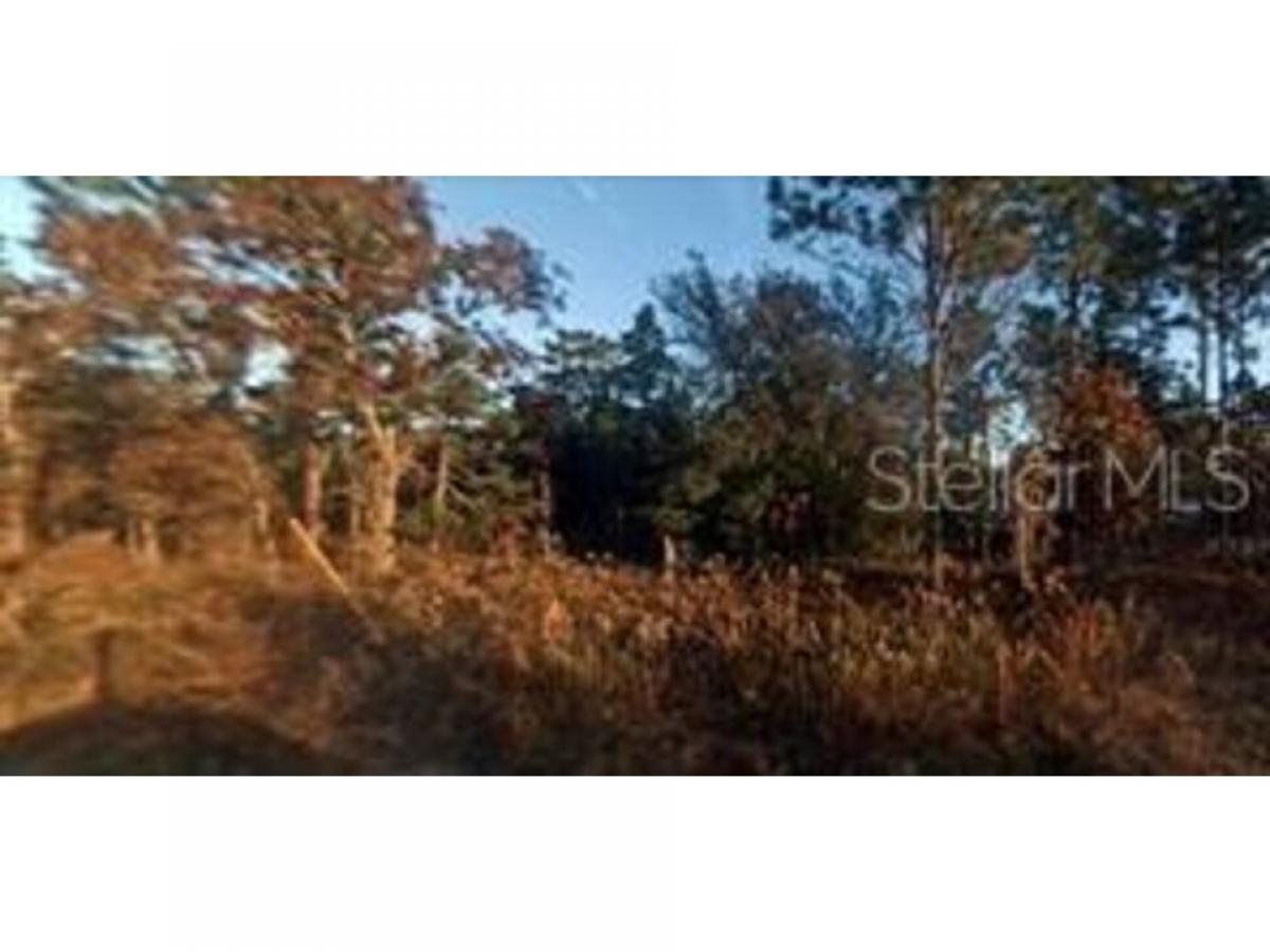 Picture of Residential Land For Sale in Dunnellon, Florida, United States