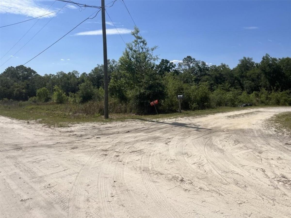 Picture of Residential Land For Sale in Ocala, Florida, United States