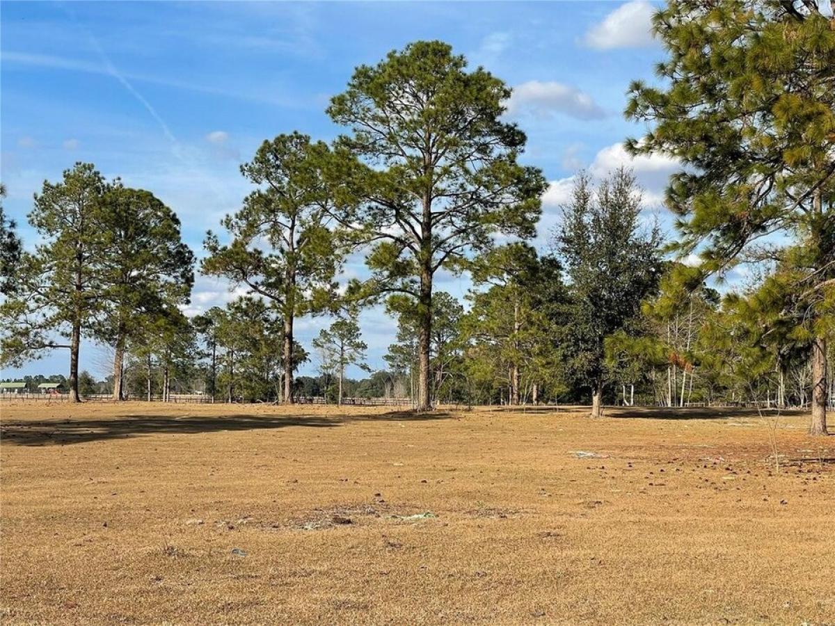 Picture of Residential Land For Sale in Morriston, Florida, United States