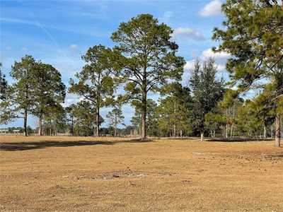 Residential Land For Sale in Morriston, Florida