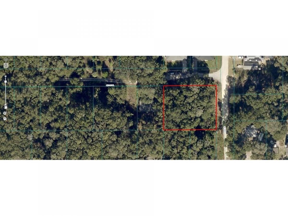 Picture of Residential Land For Sale in Summerfield, Florida, United States