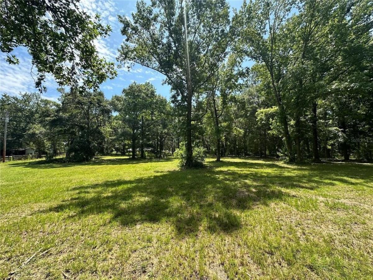 Picture of Residential Land For Sale in Reddick, Florida, United States