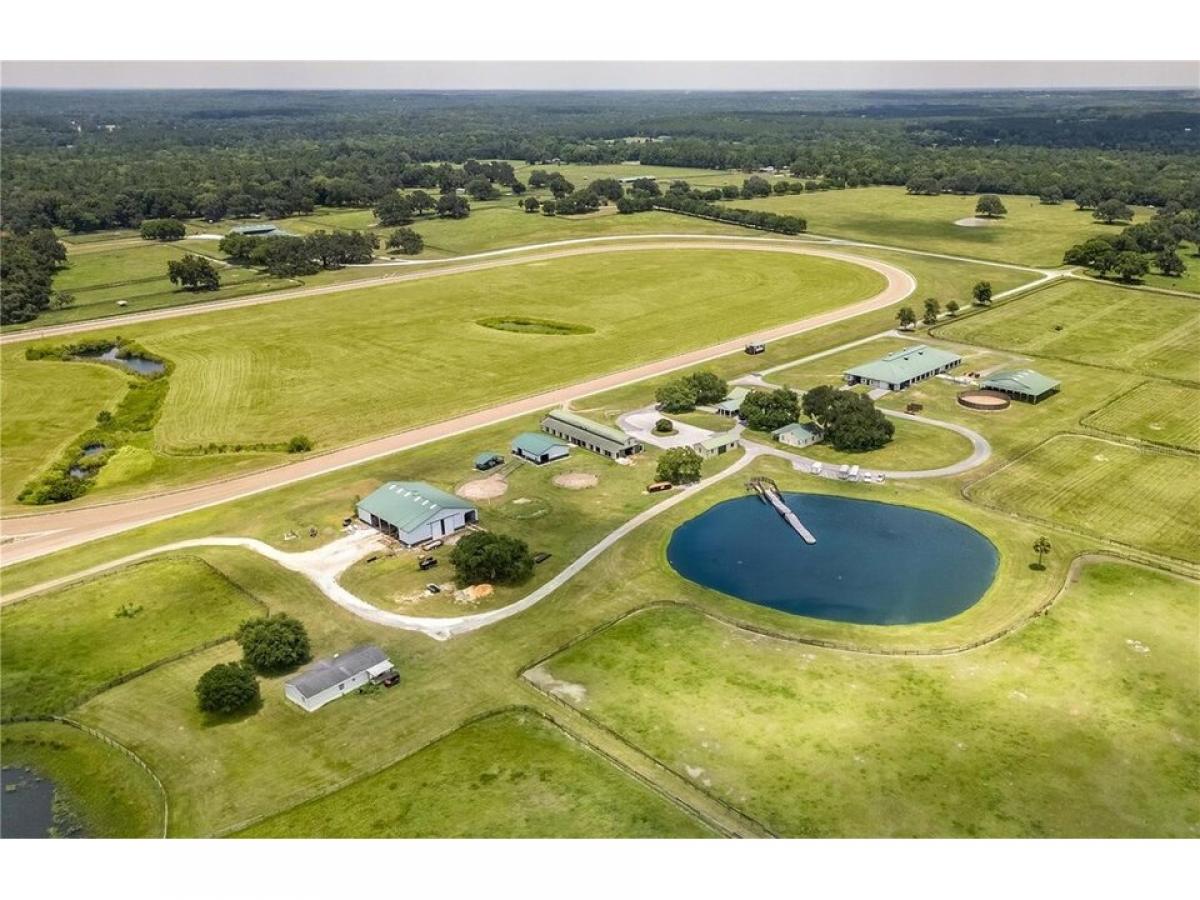 Picture of Home For Sale in Reddick, Florida, United States