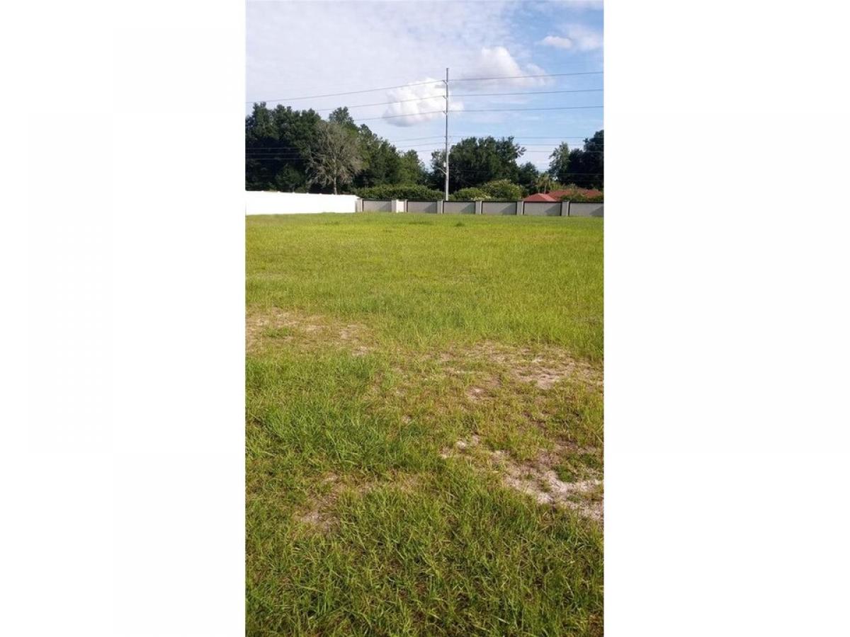 Picture of Residential Land For Sale in Ocala, Florida, United States