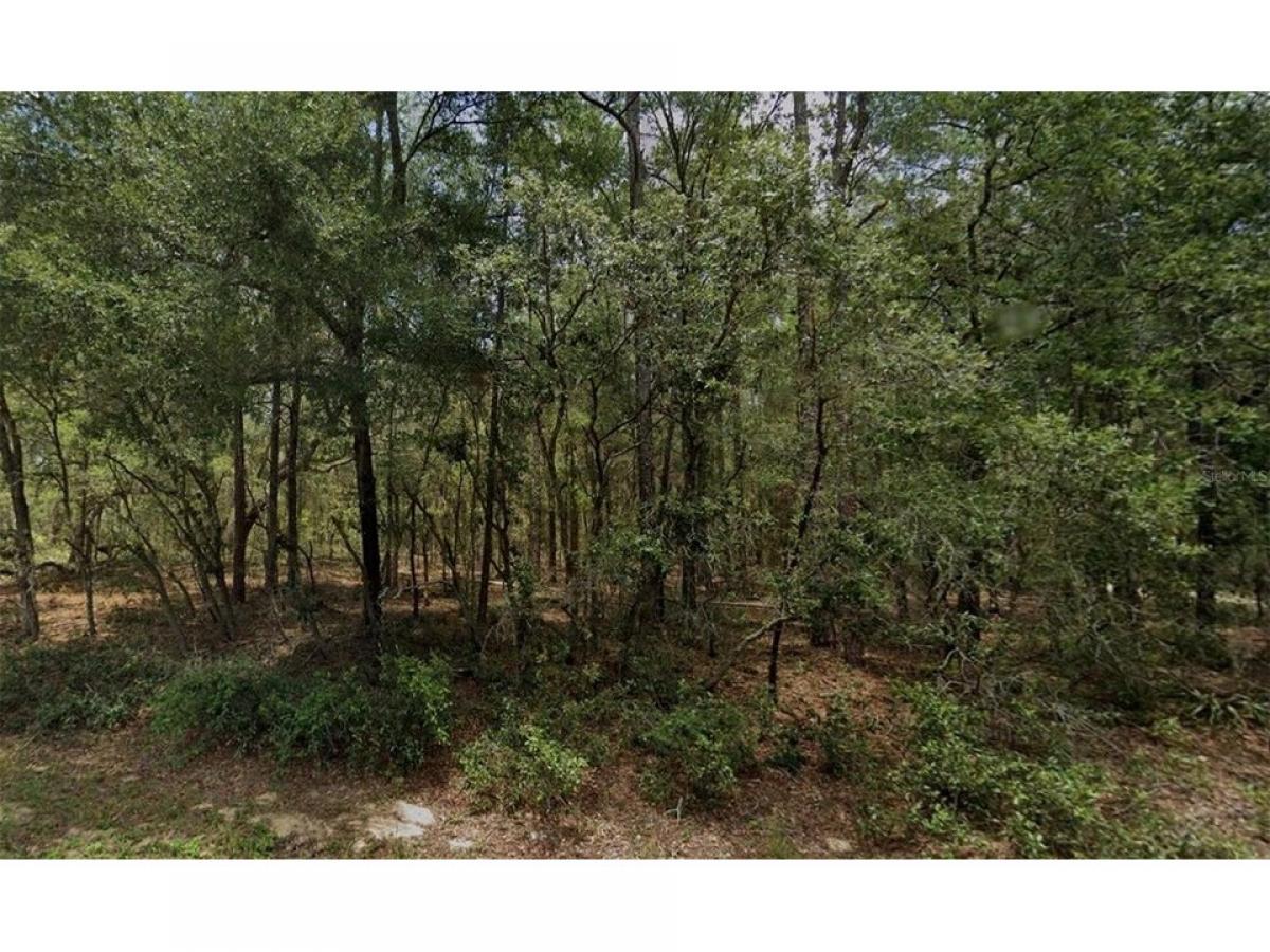 Picture of Residential Land For Sale in Citrus Springs, Florida, United States