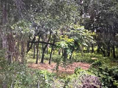 Residential Land For Sale in Orlando, Florida