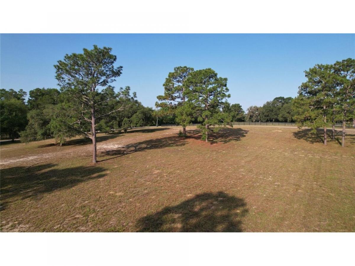 Picture of Residential Land For Sale in Dunnellon, Florida, United States