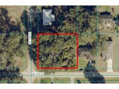 Residential Land For Sale in Summerfield, Florida